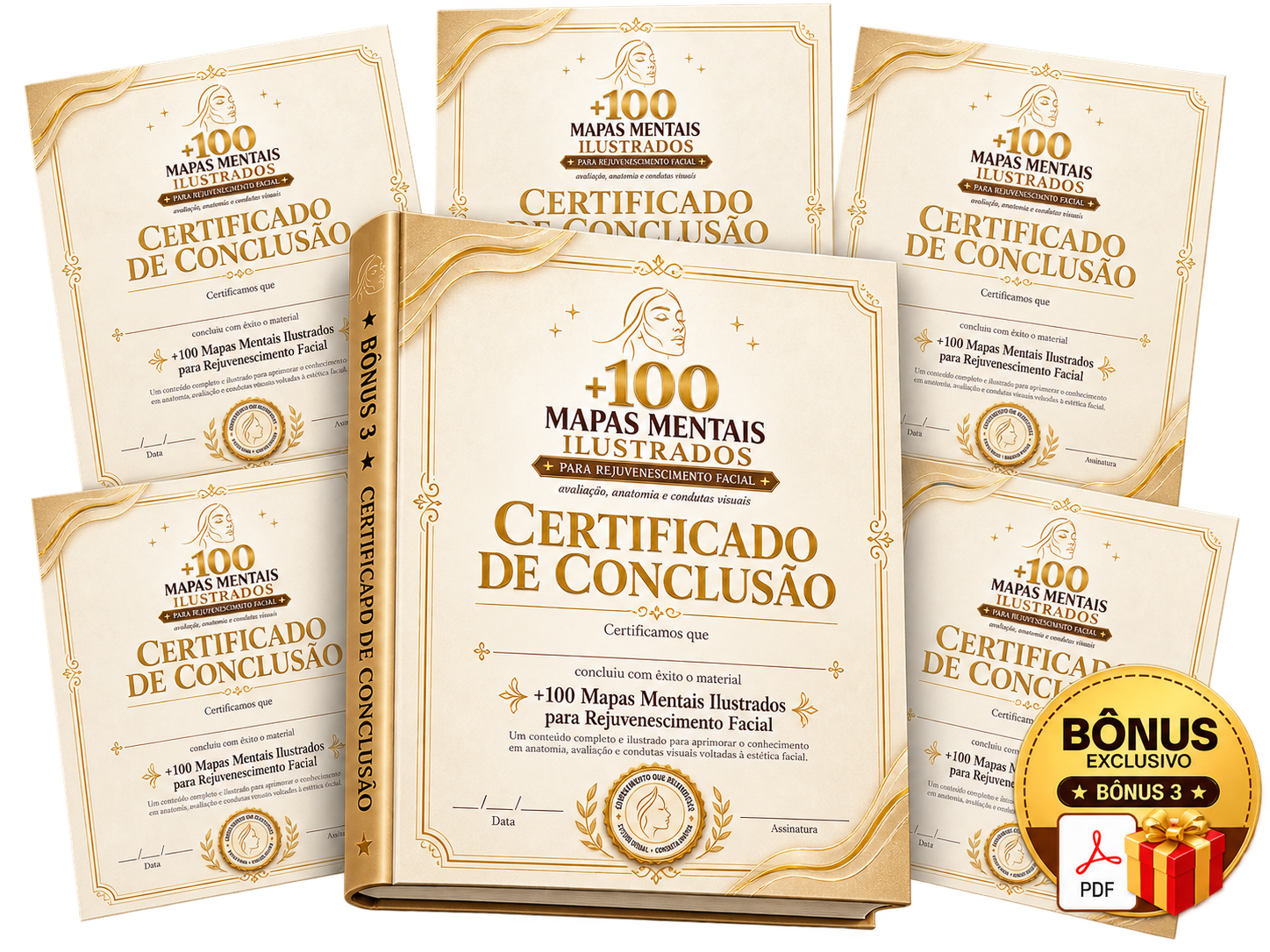 Mockup do Certificado de Conclusão