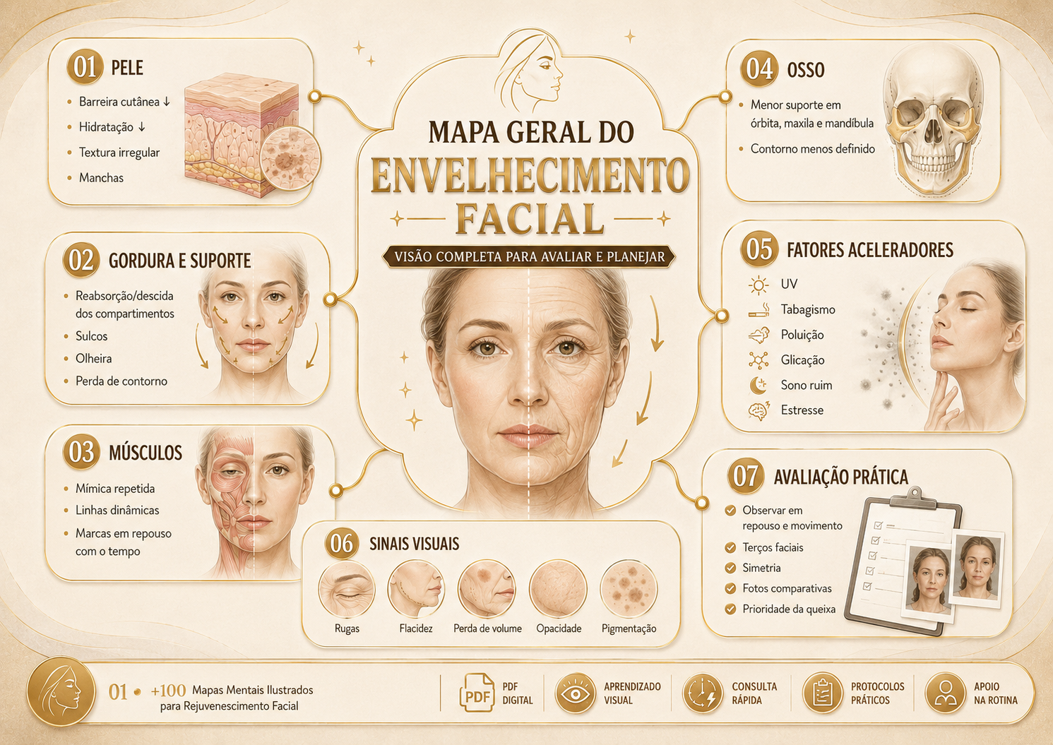 Prévia 1 de +100 Mapas Mentais Ilustrados para Rejuvenescimento Facial