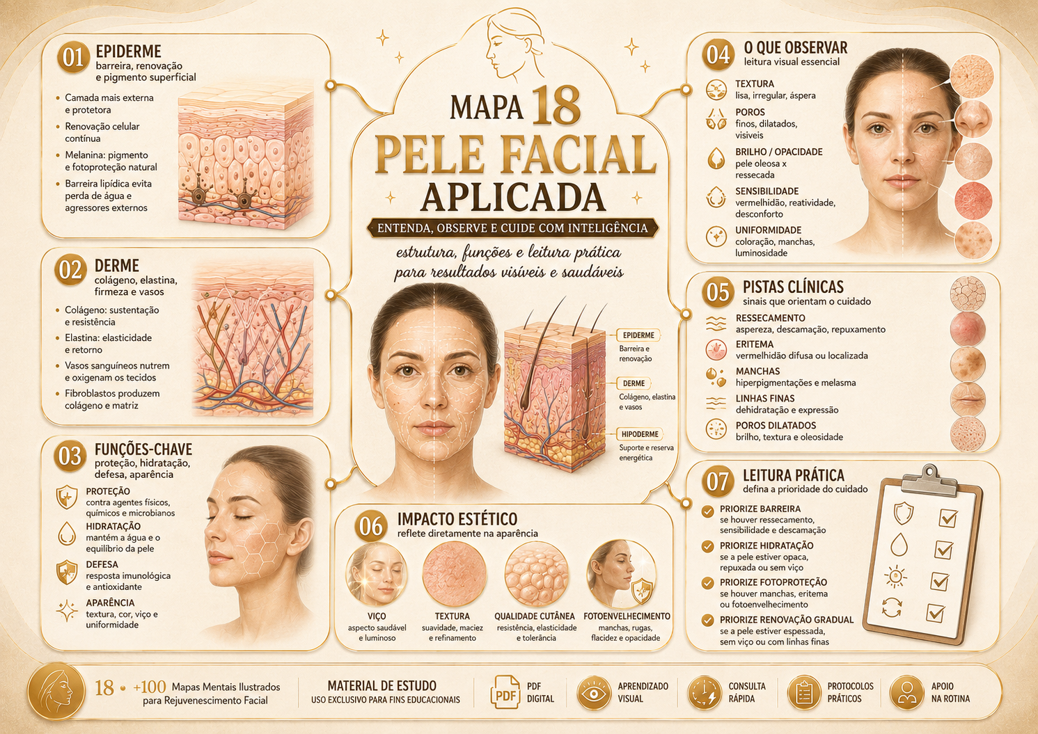Prévia 6 de +100 Mapas Mentais Ilustrados para Rejuvenescimento Facial